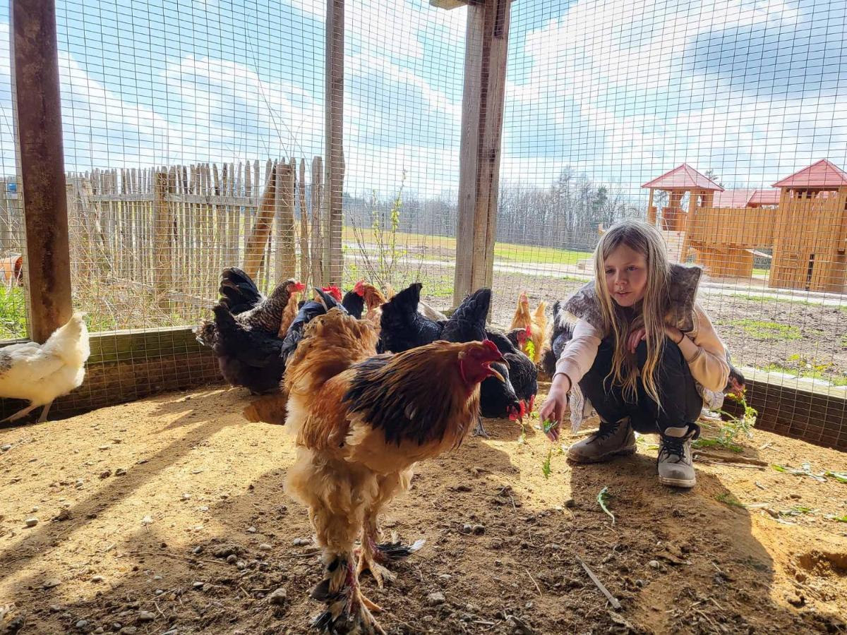 Ferienhof Gutmichel Feuchtwangen Exteriör bild
